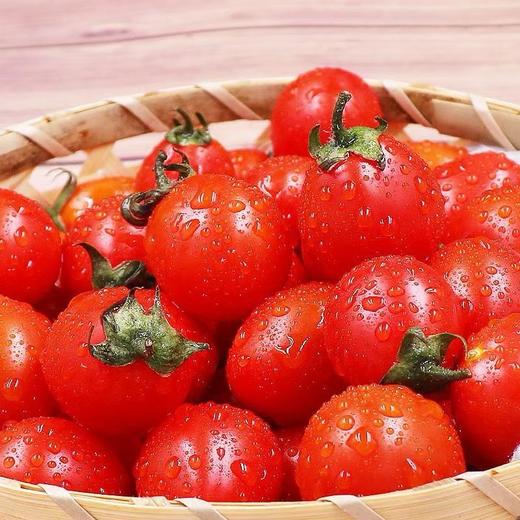 【生鲜预定】圣女果 商品图1