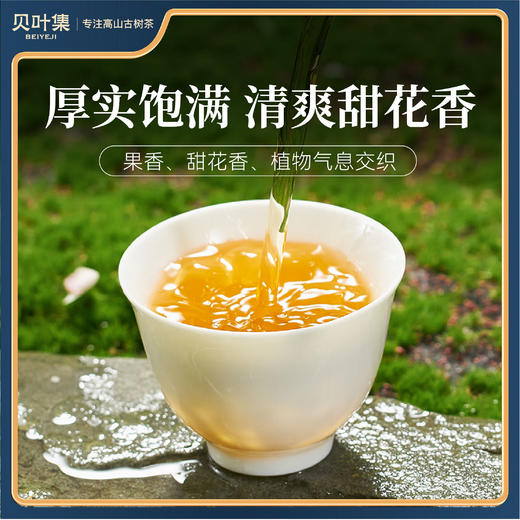 【2026年10月效期 特价清仓】大师野韵云南红茶滇红野放古树花果香联名监制礼盒装 商品图1