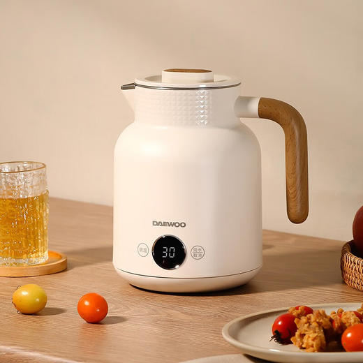 大宇（DAEWOO） 家用电水壶泡茶泡奶恒温双层防烫电热水壶 DYSH-1021电热水壶 商品图1