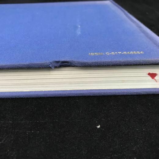 装饰主义：建筑设计中的新装饰 数百幅插图 精装16开 商品图2