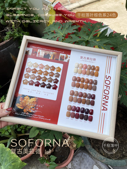 索芙娜美拉德24色套装 商品图2