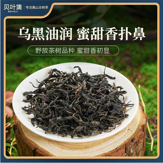 【2026年10月效期 特价清仓】大师野韵云南红茶滇红野放古树花果香联名监制礼盒装 商品图4