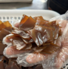 驴皮阿胶【纯手工】年终回馈送墨红玫瑰花 商品缩略图0