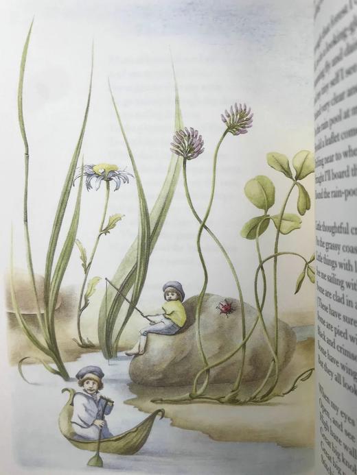 史蒂文森《童诗花园》（2000） 数十幅插图 精装18开带书匣 商品图8
