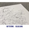 【大彩图】李晓明工笔画白描底稿《观音面》牡丹临摹勾线花鸟线稿K029 商品缩略图4