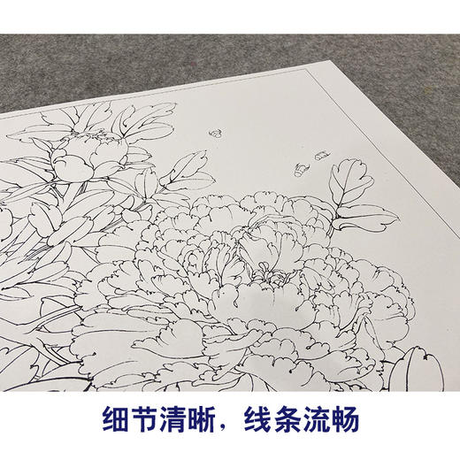 【大彩图】李晓明工笔画白描底稿《观音面》牡丹临摹勾线花鸟线稿K029 商品图4