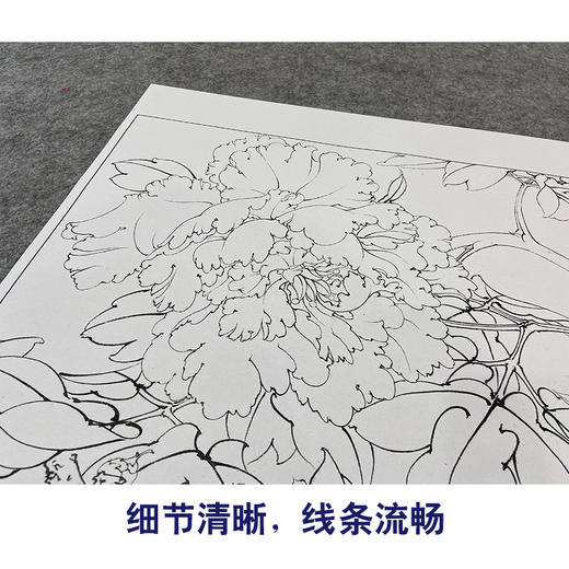 【大彩图】李晓明工笔画白描底稿斗方小品《蓝牡丹》临摹勾线花鸟线稿K037 商品图4