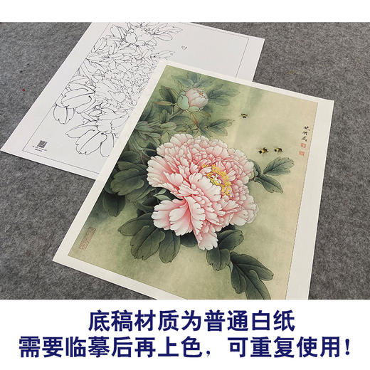【大彩图】李晓明工笔画白描底稿《观音面》牡丹临摹勾线花鸟线稿K029 商品图3