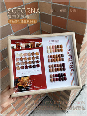 索芙娜美拉德24色套装