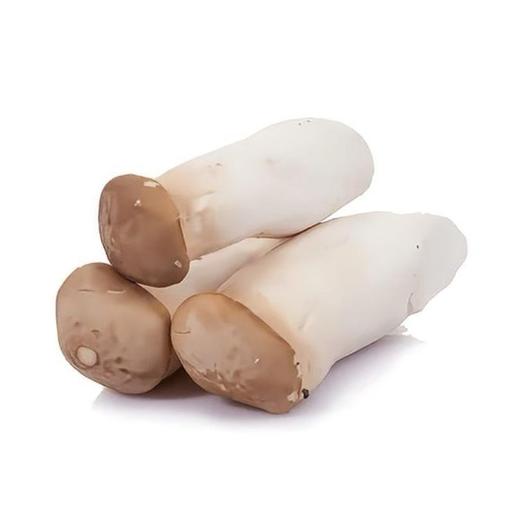 【生鲜预定】杏鲍菇 商品图1