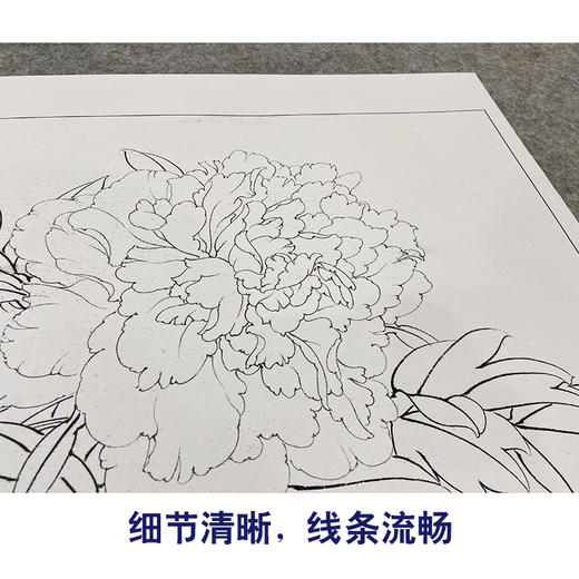 【大彩图】李晓明工笔画白描底稿斗方小品《春花秋韵》牡丹临摹勾线花鸟线稿K039 商品图4