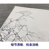 【大彩图】李晓明工笔画白描底稿《南国相思》牡丹临摹勾线花鸟线稿K030 商品缩略图4