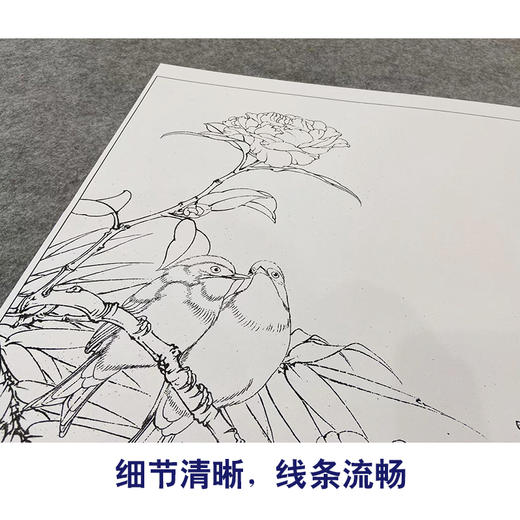 【大彩图】李晓明工笔画白描底稿《南国相思》牡丹临摹勾线花鸟线稿K030 商品图4