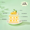 迷你鲜芒开心果  | 36 CAKE 商品缩略图2