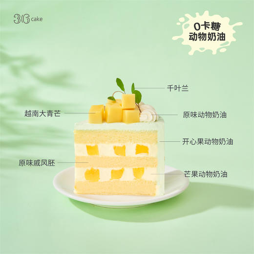迷你鲜芒开心果  | 36 CAKE 商品图2