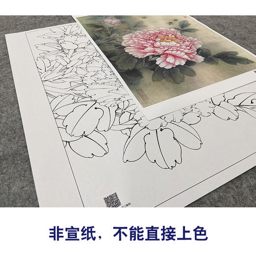 【大彩图】李晓明工笔画白描底稿《观音面》牡丹临摹勾线花鸟线稿K029 商品图2