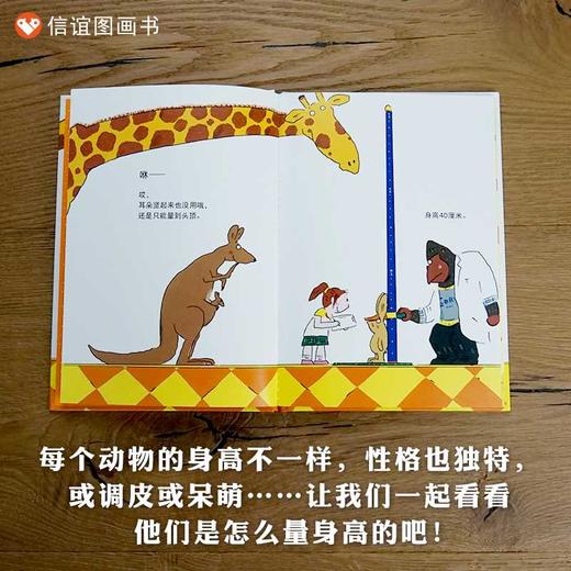 动物量身高 商品图3