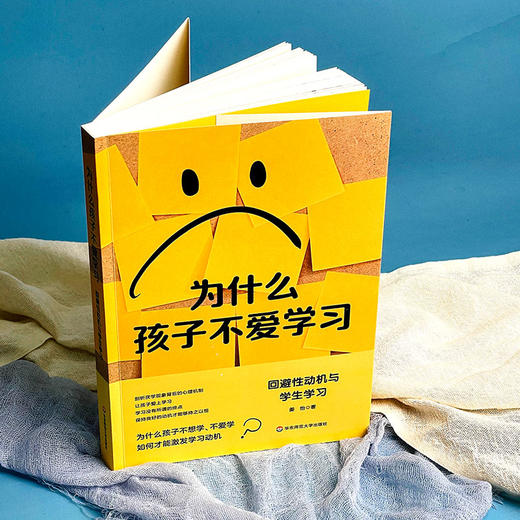 为什么孩子不爱学习 回避性动机与学生学习 姜怡著 商品图3