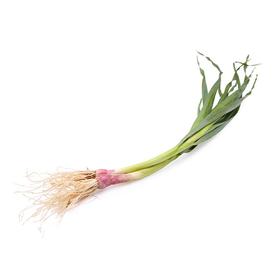 大蒜叶 约200g/份