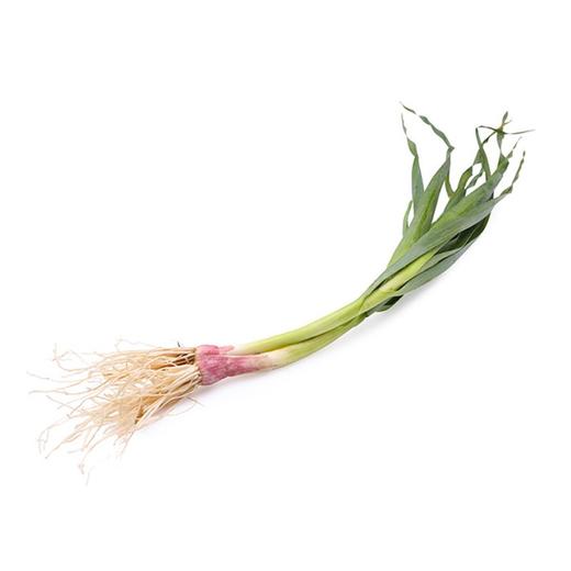 大蒜叶 约200g/份 商品图0