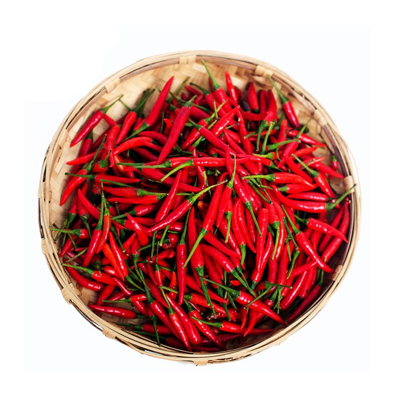 朝天椒（约300g/份）