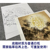 【大彩图】李晓明工笔画白描底稿斗方小品《春花秋韵》牡丹临摹勾线花鸟线稿K039 商品缩略图3