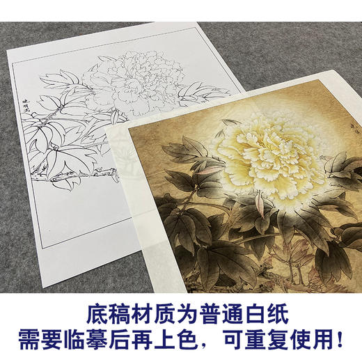 【大彩图】李晓明工笔画白描底稿斗方小品《春花秋韵》牡丹临摹勾线花鸟线稿K039 商品图3