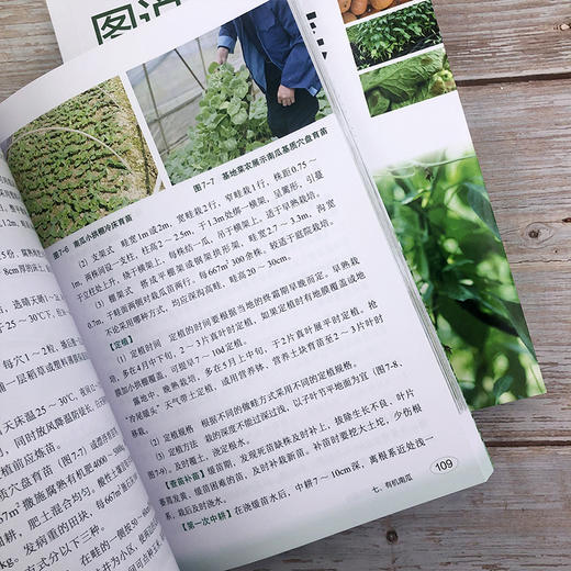 图说有机蔬菜绿色栽培 商品图4