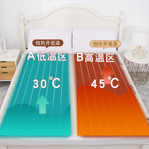 浪莎 调温型电热毯 经典条纹 智能双控 5挡调温 商品图2