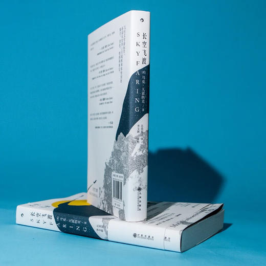 长空飞渡 商品图1