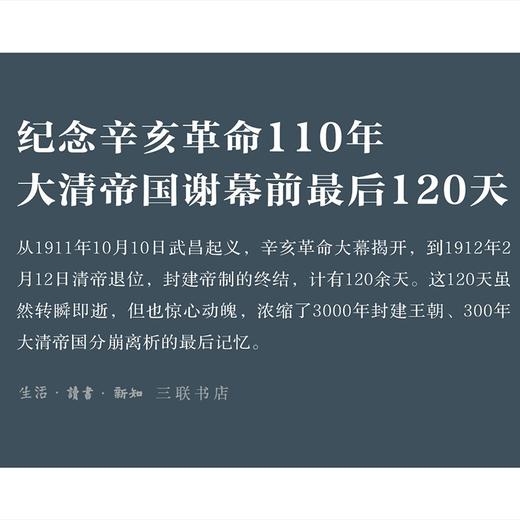 清朝最后的120天 商品图1