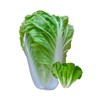 五号白菜 约500g/份 商品缩略图0