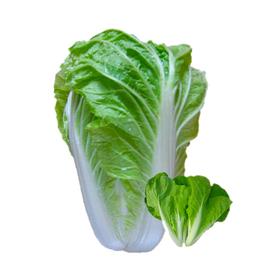 五号白菜 约500g/份