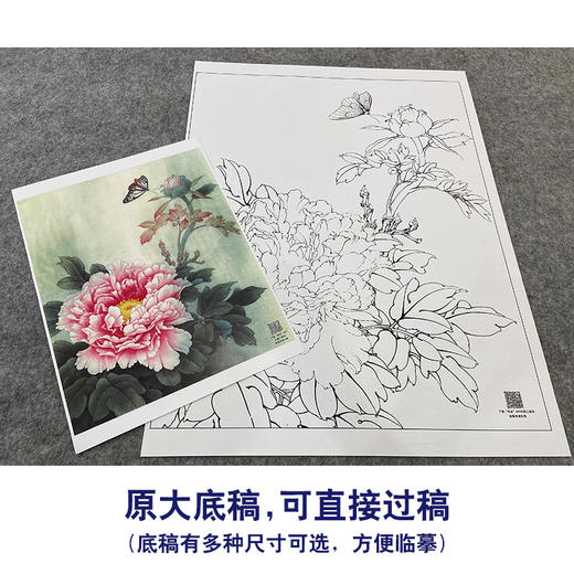 【大彩图】李晓明工笔画白描底稿《轻舞飞扬》牡丹临摹勾线花鸟线稿K033 商品图1