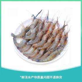 罗氏虾 约500g/份（离水易死，谨慎购买）