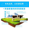 花园有机利乐枕，16袋/箱 商品缩略图1