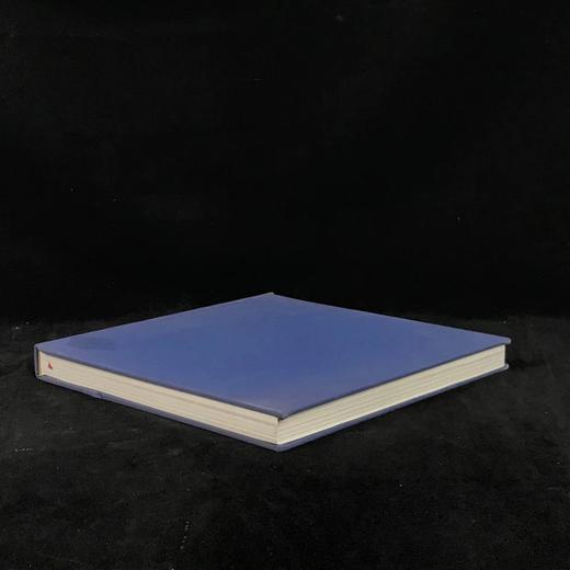 装饰主义：建筑设计中的新装饰 数百幅插图 精装16开 商品图1