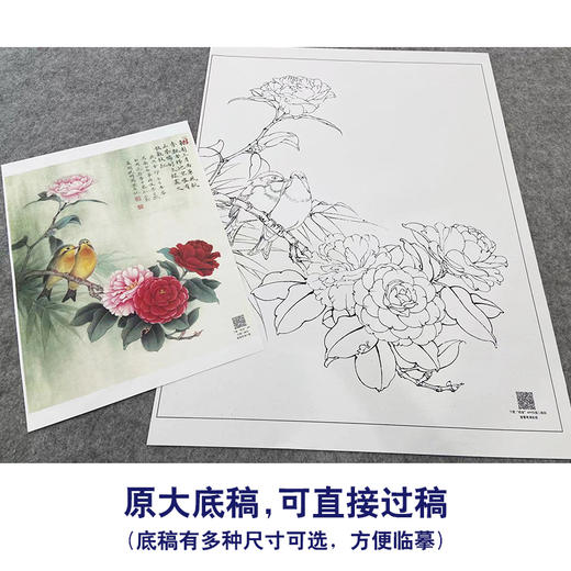 【大彩图】李晓明工笔画白描底稿《南国相思》牡丹临摹勾线花鸟线稿K030 商品图1