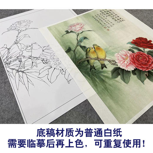 【大彩图】李晓明工笔画白描底稿《南国相思》牡丹临摹勾线花鸟线稿K030 商品图3
