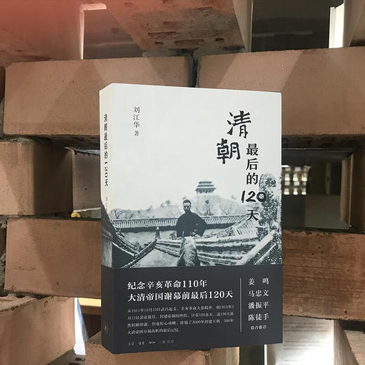 清朝最后的120天 商品图3