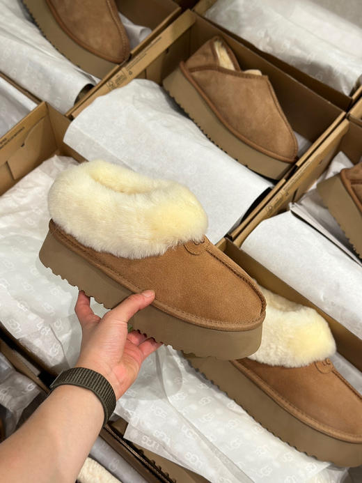 发货实拍📦
268🉐️
厚底塔茨特 栗色 商品图1