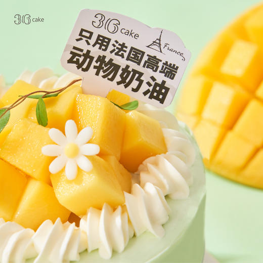 迷你鲜芒开心果  | 36 CAKE 商品图1
