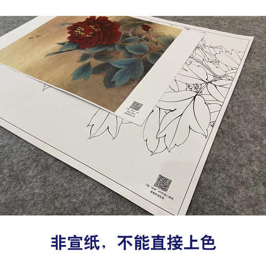 【大彩图】李晓明工笔白描底稿斗方小品《黑剪绒》牡丹临摹勾线花鸟线稿K035 商品图2
