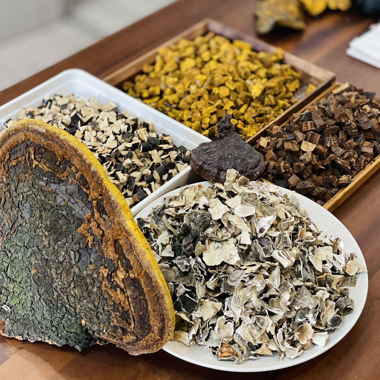 藏地干货｜五行养生 野生灵芝 五色灵芝茶包 简单便捷