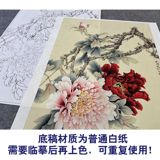 【大彩图】李晓明工笔画白描底稿《倚红偎翠》牡丹临摹勾线花鸟线稿K036 商品图3