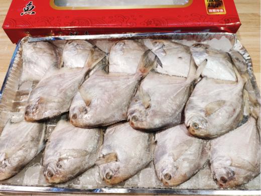 红箱白鲳鱼一箱 商品图1