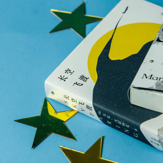 长空飞渡 商品图2