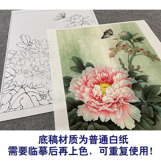 【大彩图】李晓明工笔画白描底稿《轻舞飞扬》牡丹临摹勾线花鸟线稿K033 商品图3