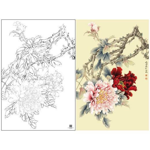 【大彩图】李晓明工笔画白描底稿《倚红偎翠》牡丹临摹勾线花鸟线稿K036 商品图0