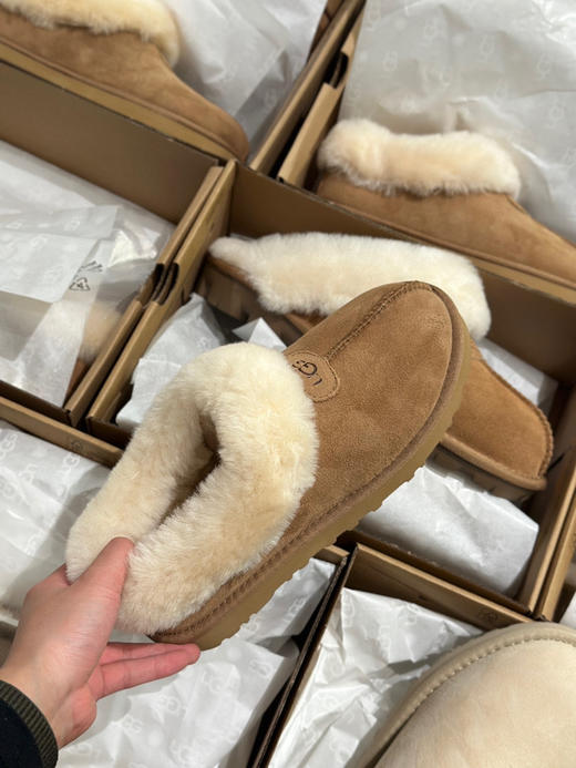 发货实拍📦
199🉐️
塔茨特经典款 商品图1